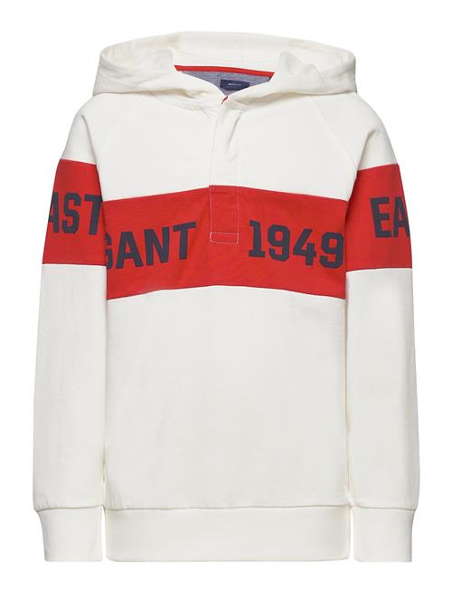 GANT D1. Gant Chest Stripe Hr GANT White