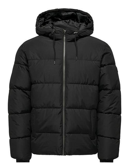 Onsmelvin Life Hood Puffer Jacket Otw Vd ONLY & SONS Black