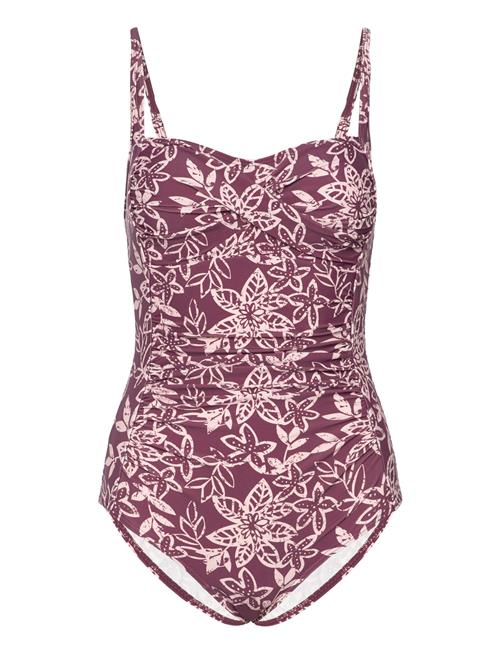 Bologna Swimsuit Missya Purple