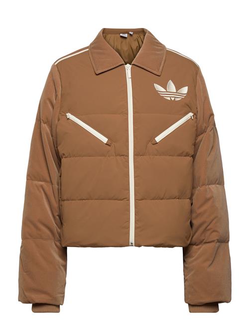 Velvet Puffer Adidas Originals Brown