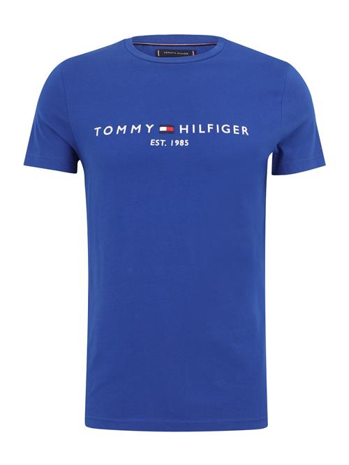 TOMMY HILFIGER Bluser & t-shirts  blå / navy / rød / hvid