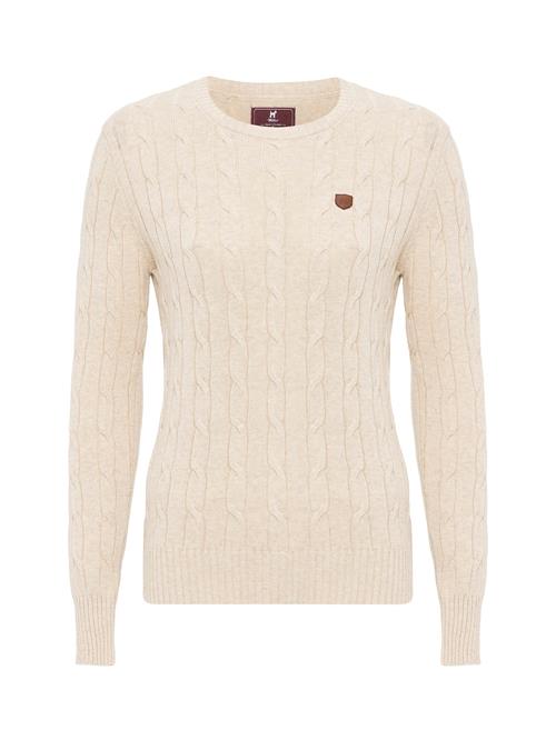 Se Williot Pullover 'Fuerteventura'  beige / brun ved About You