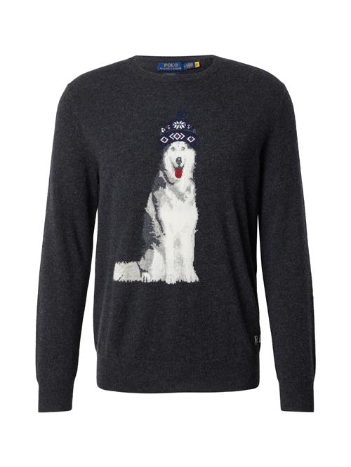 Polo Ralph Lauren Pullover  navy / mørkegrå / rød / offwhite