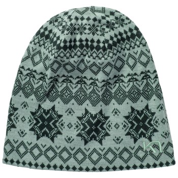 Kari Traa Vilma Beanie Grøn merinould One Size Dame