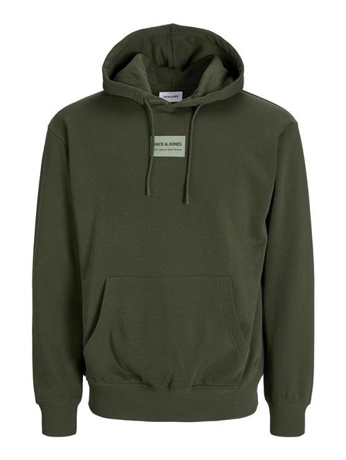 JACK & JONES Sweatshirt 'JJHAKKAI'  grøn