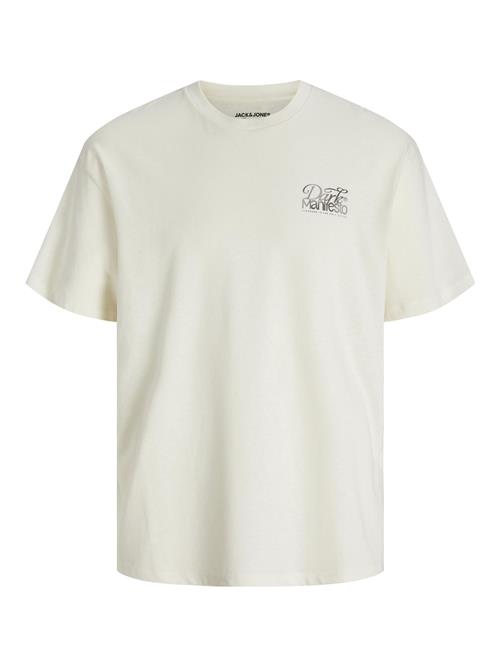 JACK & JONES Bluser & t-shirts  brun / grå / hvid