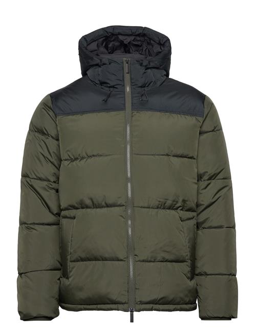 Knowledge Cotton Apparel Repreve  Puffer Color Blocked Jack Knowledge Cotton Apparel Green