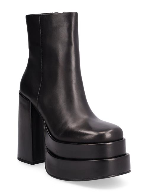 Se Cobra Bootie Steve Madden Black ved Booztlet