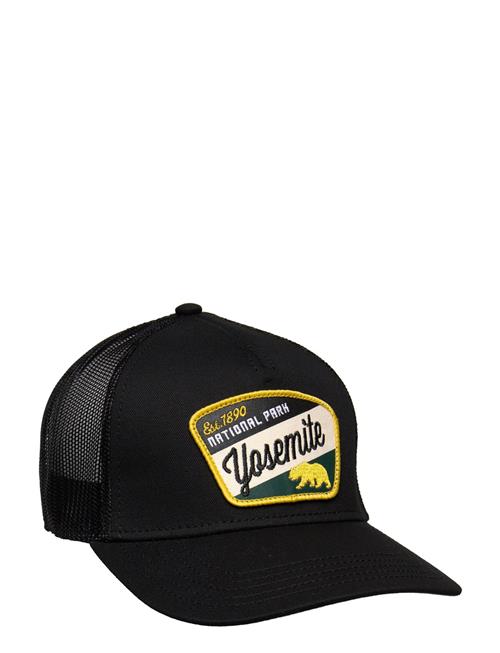 Yosemite Valin American Needle Black