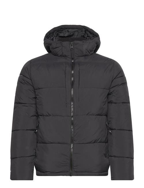 Morvan Hooded Jacket NICCE Black