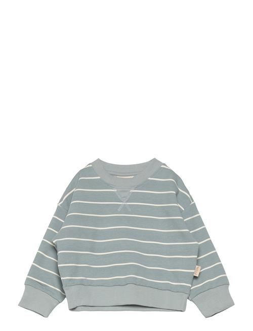 Petit Piao Sweat Shirt Line Petit Piao Blue