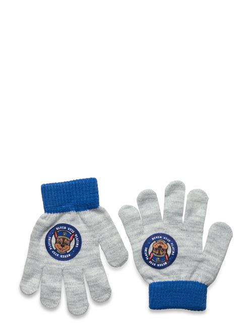 Paw Patrol Glovers Paw Patrol Grey