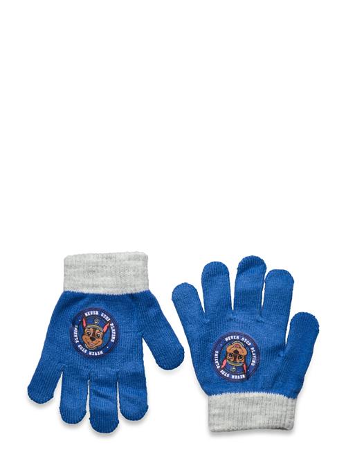 Se Paw Patrol Glovers Paw Patrol Blue ved Booztlet