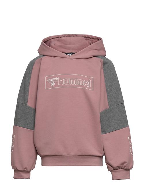 Hmlboxline Hoodie Hummel Pink