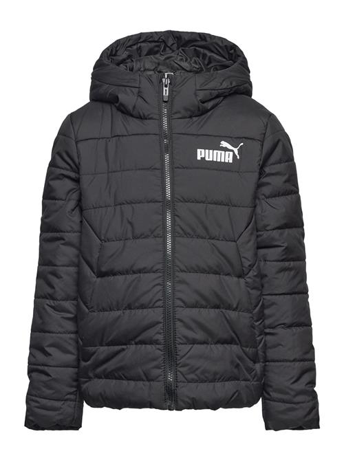 Ess Hooded Padded Jacket PUMA Black