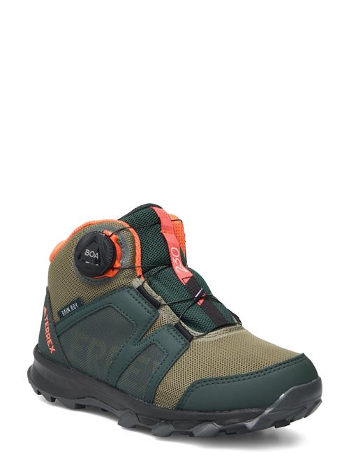 adidas Terrex Terrex Boa Mid R.rdy K Adidas Terrex Green