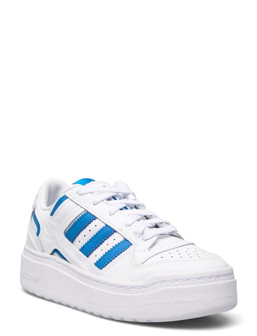 Se adidas Originals Forum Xlg W Adidas Originals White ved Booztlet