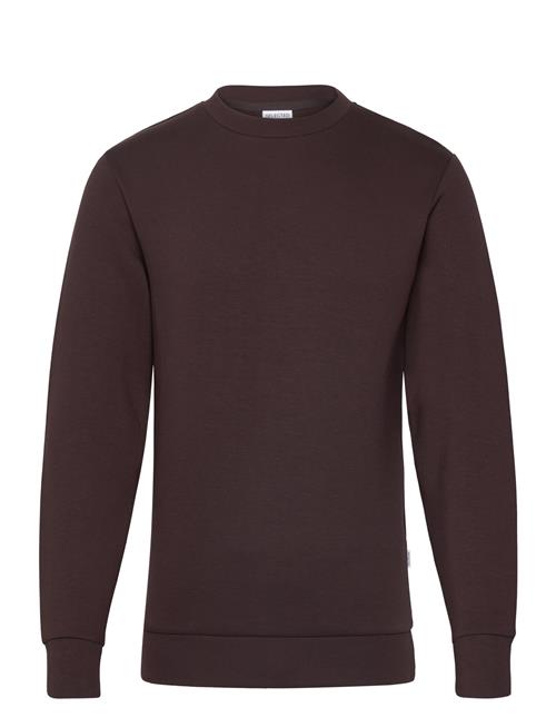 Selected Homme Slhemanuel Soft Crew Neck Sweat Noos Selected Homme Brown