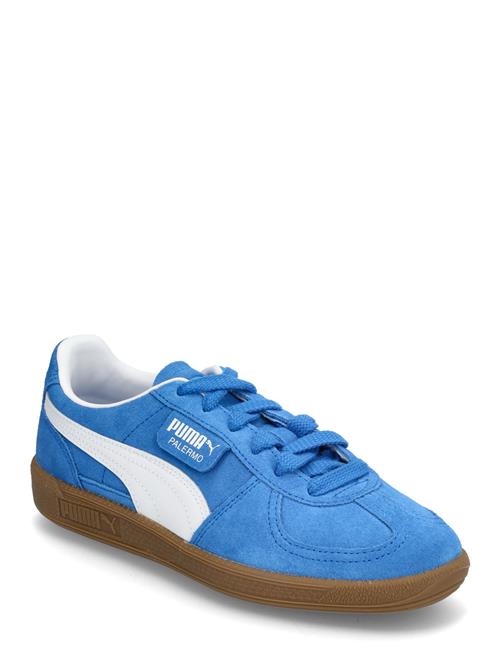 Se PUMA Palermo Jr PUMA Blue ved Booztlet