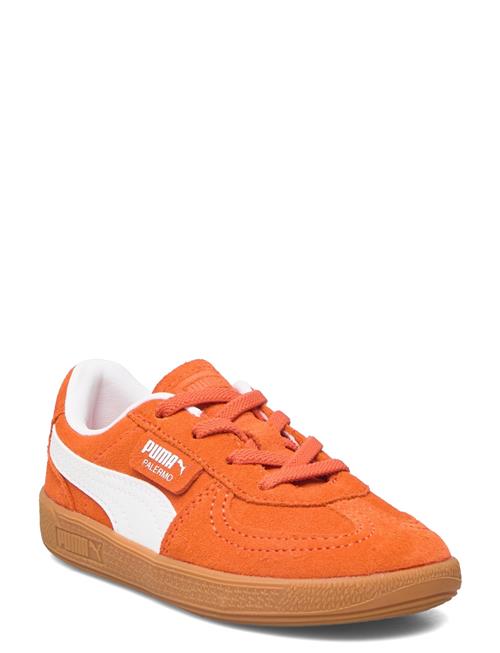 Se PUMA Palermo Ac Inf PUMA Orange ved Booztlet