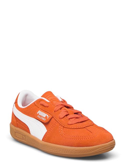 Se PUMA Palermo Ps PUMA Orange ved Booztlet