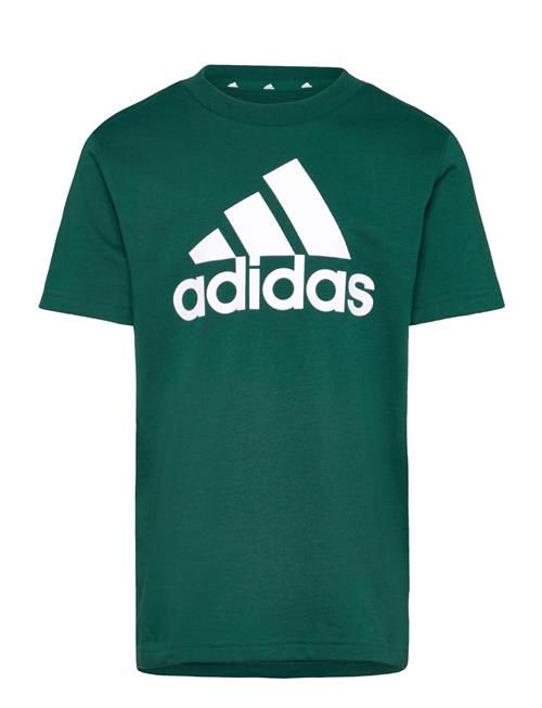 adidas Sportswear U Bl Tee Adidas Sportswear Green