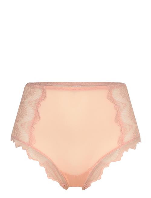 Understatement Underwear Lace Mesh Highwaist Briefs Understatement Underwear Pink