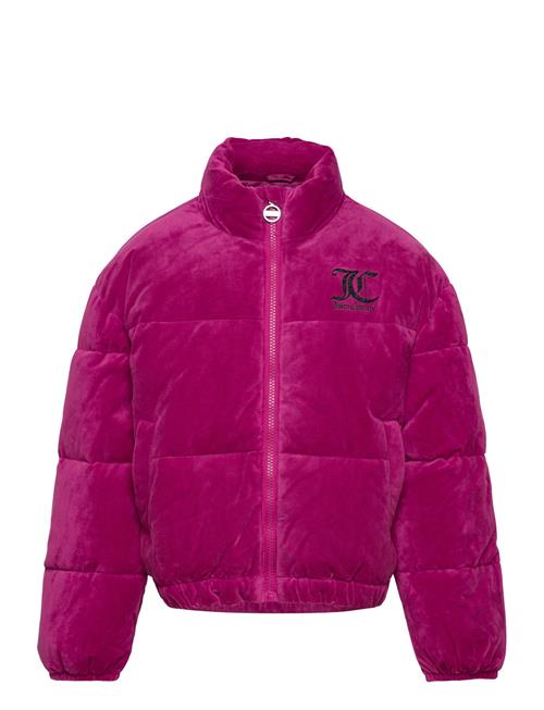 Juicy Velour Puffa Juicy Couture Purple