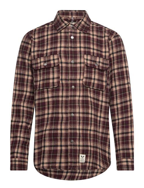 Adrian Cotton Check Shirt Fat Moose Burgundy