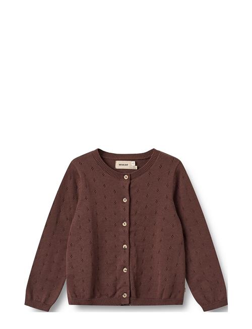 Wheat Knit Cardigan Maia Wheat Burgundy