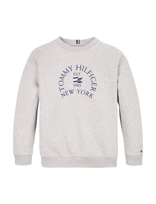 Nautical Arch Print Fleece Cn Tommy Hilfiger Grey