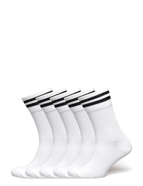 5-Pk Tennis Socks With Stripes ZEBDIA White