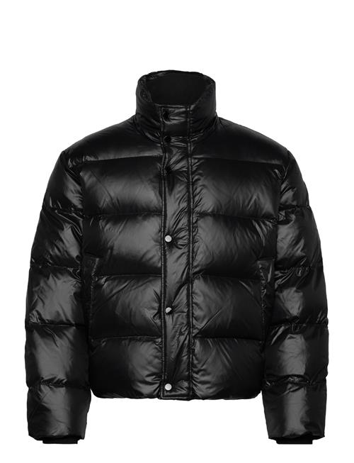 Abercrombie & Fitch Anf Mens Outerwear Abercrombie & Fitch Black