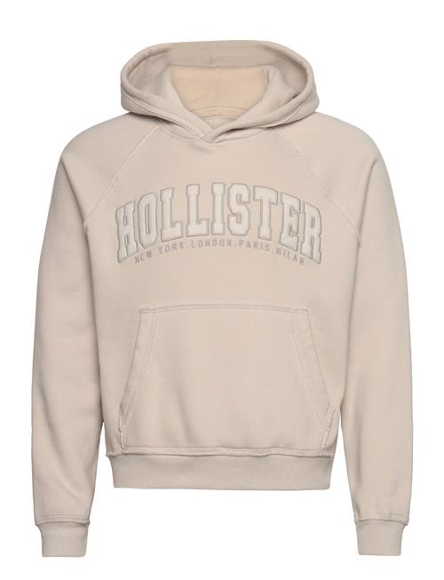 Hollister Hco. Guys Sweatshirts Hollister Beige