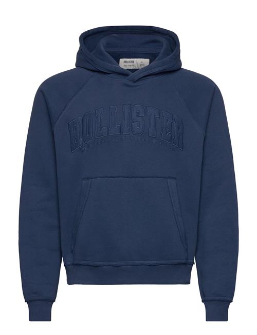 Hco. Guys Sweatshirts Hollister Blue