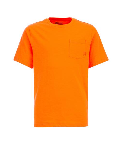 WE Fashion Shirts  mørkeorange