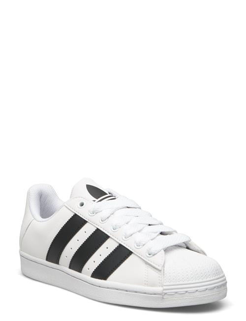 adidas Originals Superstar Adidas Originals White