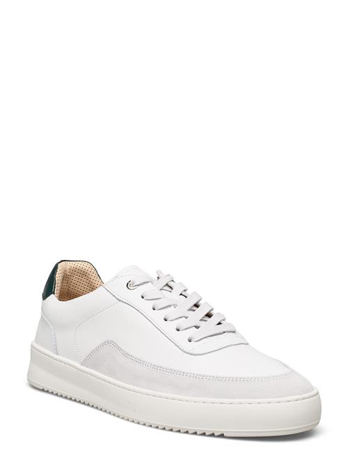 Filling Pieces Mondo Squash Filling Pieces White