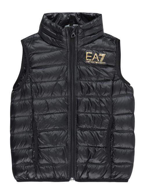 EA7 Emporio Armani Vest  guld / sort