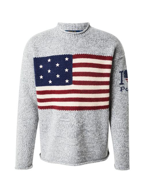 Polo Ralph Lauren Pullover  mørkeblå / grå / rød / hvid