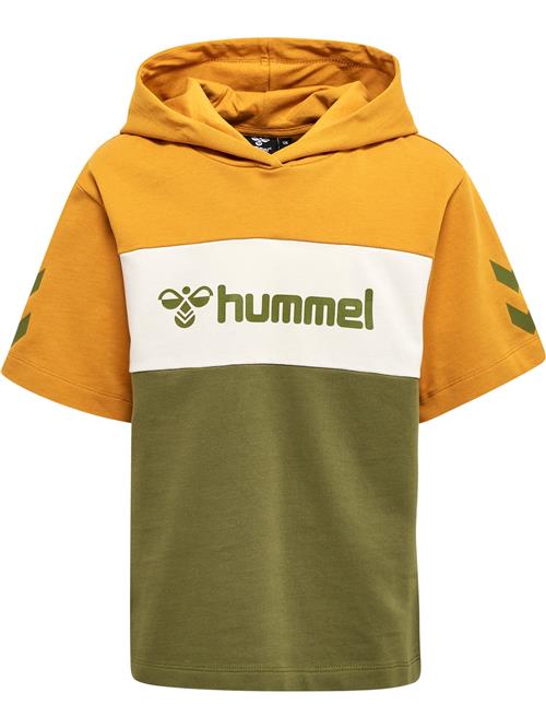 Se Hummel Sweatshirt  sennep / grøn / hvid ved About You