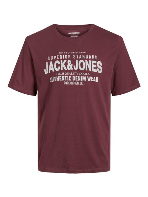 JACK & JONES Bluser & t-shirts 'JJJEANS'  lysegrå / vinrød