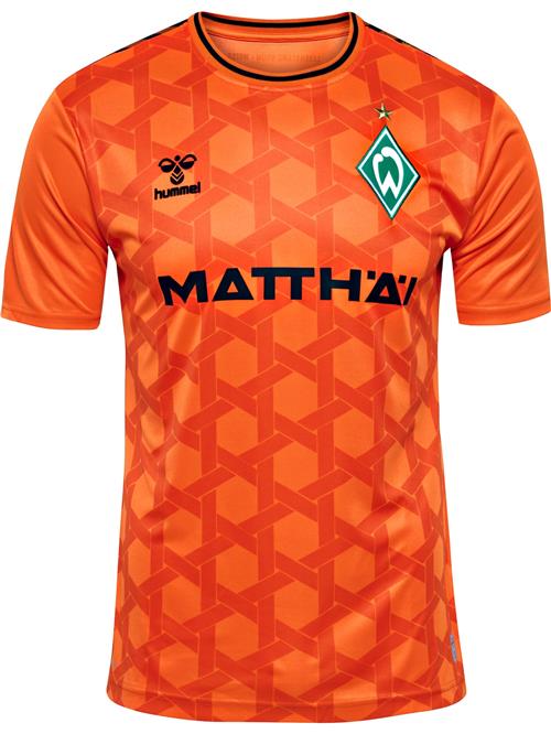 Hummel Fodboldtrøje 'Werder Bremen 23/24'  orange / hummer / sort