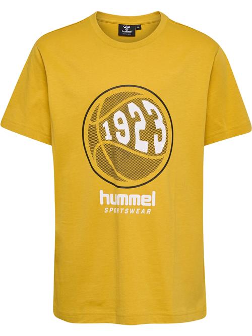 Hummel Shirts 'LEO'  sennep / grå / hvid