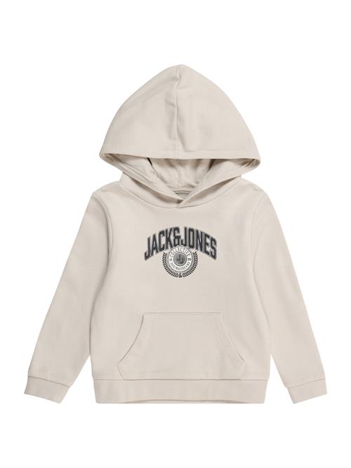 Jack & Jones Junior Sweatshirt 'JJKAM'  beige / grå / sort