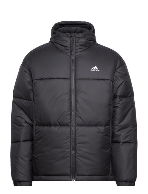 adidas Sportswear Bsc 3-Stripes Puffy Hooded Jacket Adidas Sportswear Black