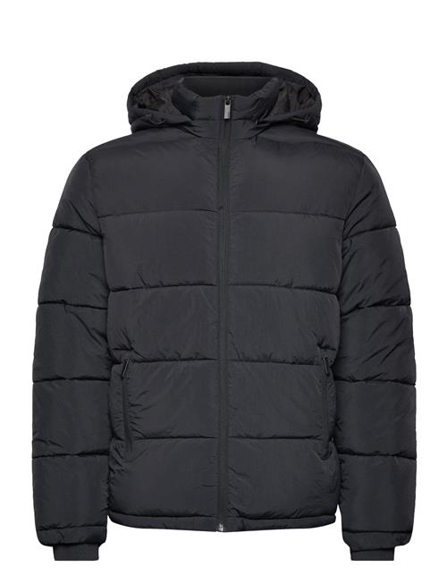 Selected Homme Slhcooper Puffer Jkt Noos Selected Homme Black