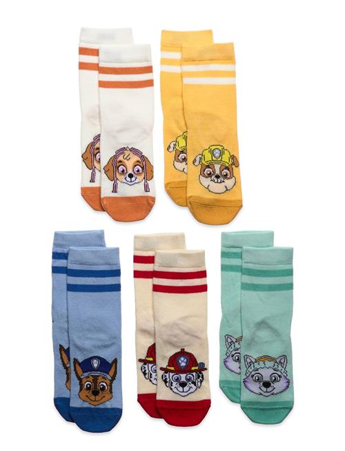 Lindex Sock 5 P Sb Paw Patrol Lindex Patterned