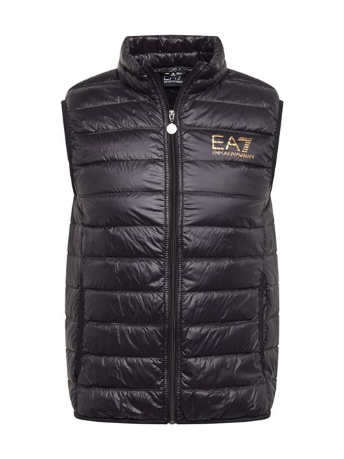 EA7 Emporio Armani Vest  guld / sort