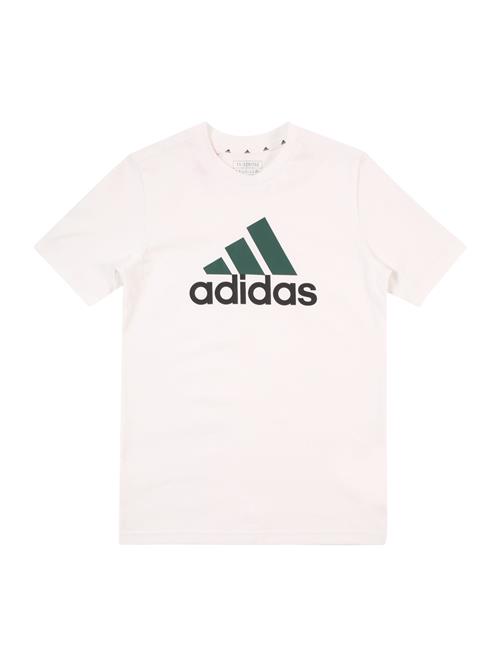 ADIDAS SPORTSWEAR Funktionsskjorte  grøn / sort / hvid